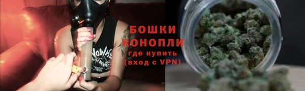 PSILOCYBIN Беломорск
