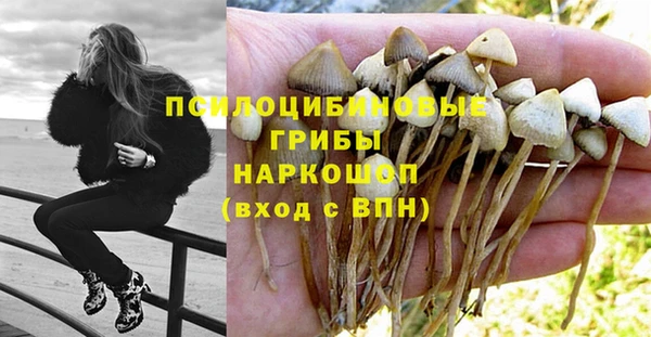 МДПВ Белоозёрский