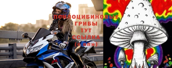 PSILOCYBIN Беломорск