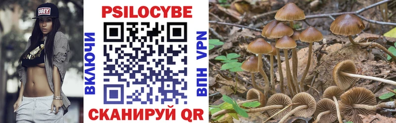 Галлюциногенные грибы Psilocybine cubensis  кракен зеркало  Высоковск 